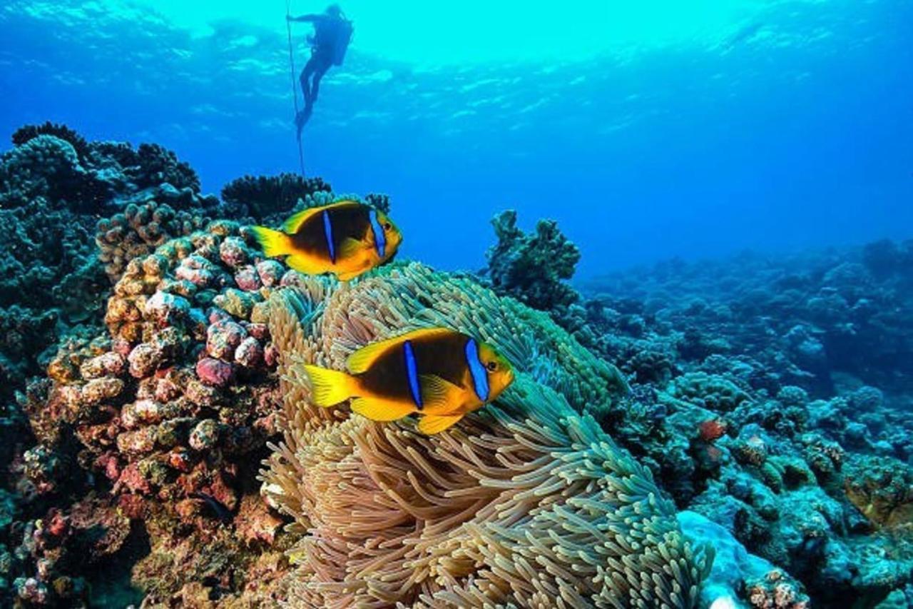 Naia Lodge Arue  Luaran gambar